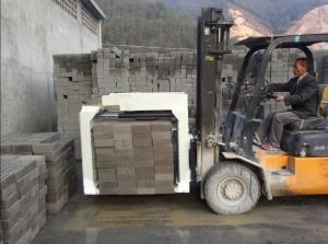 HYDRAULICUS Clausus Fibulae